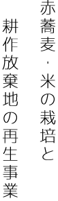 私たちが大事にしている事